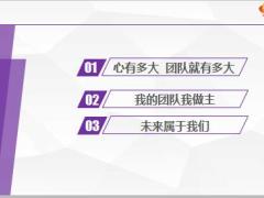 分区经理训练课程31团队文化分享模板13页.ppt