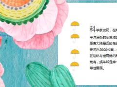 每日保险故事蜗牛7页.ppt