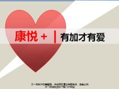 国寿康悦加国寿福组合四象限15页.pptx