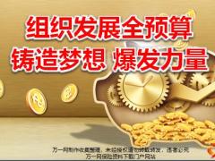 国寿组织发展全预算介绍实施要领78页.pptx