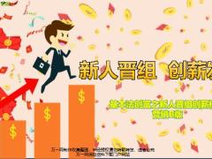 国寿基本法创富之新人晋组创薪模型营销B版12页.pptx