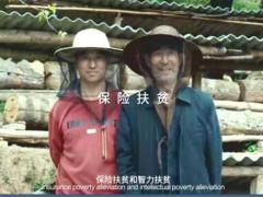 视频中国太平2019年宣传片.rar