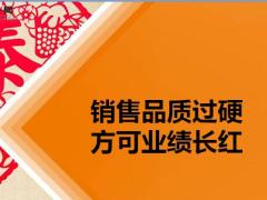 销售品质过硬方可业绩长红41页.pptx