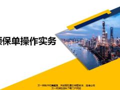 陆家嘴国泰大额保单操作实务23页.pptx
