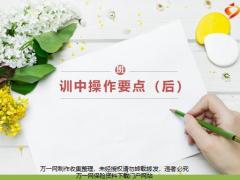 训后操作要点说明及实操20页.pptx