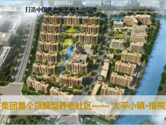 太平小镇梧桐人家国际健康颐养社区53页.pptx