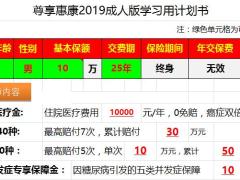 中信保诚尊享惠康2019自动计划书2页.xlsx
