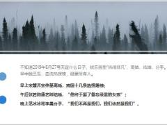 宋慧乔离婚范冰冰分手有保险的女人才这么有底气28页.ppt