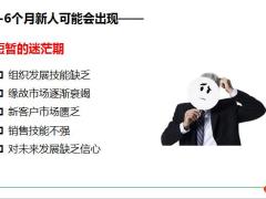 银保新人职训B阶段定位体系介绍组织运作101页.pptx