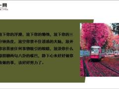 每日鸡汤励志人生多彩人生自我造就.zip