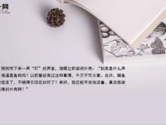 每日保险故事墨守陈规的海螺7页.ppt
