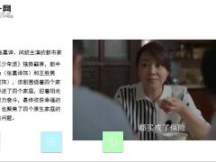 电视剧少年派闫妮新资金三分之一为张嘉译投保险16页.ppt