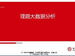 富德生命理赔大数据分析34页.pptx