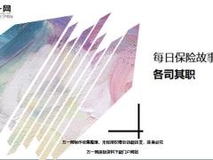 每日保险故事各司其职7页.ppt
