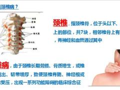 一场颈椎病带来的高端医疗体验新华版18页.pptx