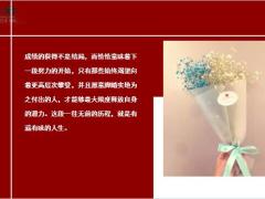 每日鸡汤励志人生既然目标是地平线 留给世界的只能是背影.zip