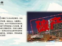 295亿宁波首富宣告破产从首富到破产仅247天18页.ppt