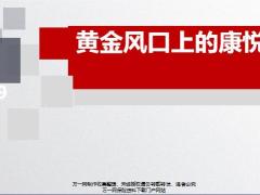 国寿康悦加黄金风口简明逻辑利好政策45页.pptx