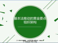 国寿基本法推动的黄金要点组织架构15页.pptx