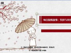 每日保险故事负担与责任9页.ppt