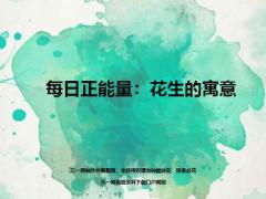 每日正能量花生的寓意页.ppt
