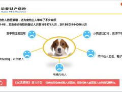 华泰爱犬保宠物责任保险理赔案例9页.pptx