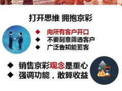 太平人寿悦享京彩大众销售逻辑27页.pptx