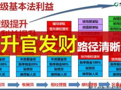 国寿收展基本法优势何在27页.pptx