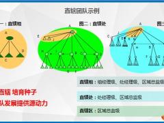 国寿基本法考核规则细讲含例子26页.pptx