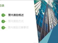 营内激励概述方式注意事项26页.pptx