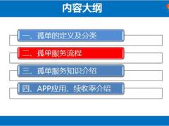 国寿孤单定义系统分配服务流程APP应用续收率36页.pptx