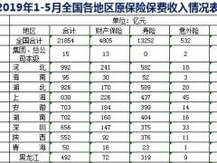 2019年前5月各省市地区原保险保费收入排名表.xls