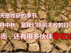 8月份业务方案宣导加佣水上乐园月饼22页.pptx