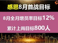 8月感恩增员方案两大增员周紧密运作41页.pptx
