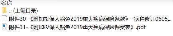 太平洋附加投保人豁免2019重大疾病保险条款费率.zip