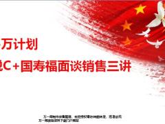 705万计划康悦C加国寿福面谈销售三讲29页.pptx