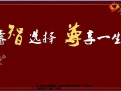合众智尊计划课程训练销售逻辑52页.pptx