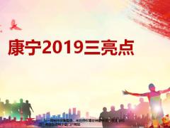 国寿康宁2019三亮点病种保额让利突破14页.pptx