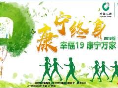 国寿康宁终身2019版品质情怀关怀期待16页.pptx