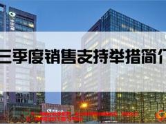国寿两大核保保全政策支持工具活动47页.pptx