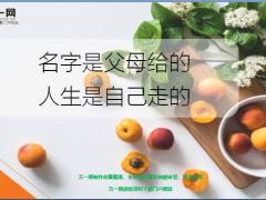 每日鸡汤励志人生名字是父母给的人生是自己走的.zip