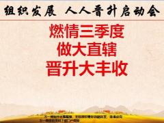 国寿燃情三季度做大直辖晋升大丰收基本法35页.pptx