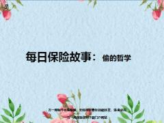 每日保险故事偷的哲学8页.ppt
