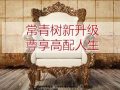华夏常青树新升级尊享高配人生19页.pptx