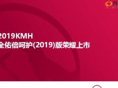 友邦全佑倍呵护2019版背景产品案例篇29页.pptx