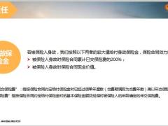 阳光金满盈B款开发背景产品形态及特色案例演示投保规则18页.ppt