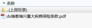 瑞泰瑞兴重大疾病保险条款.rar