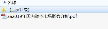 2019年国内资本市场形势分析.rar