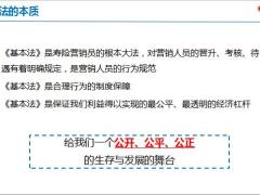 太平洋营销基本法总论内容17版C类96页.ppt