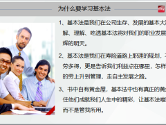 基本法定义设计思路发展历程解析法亮点国华五制31页.pptx